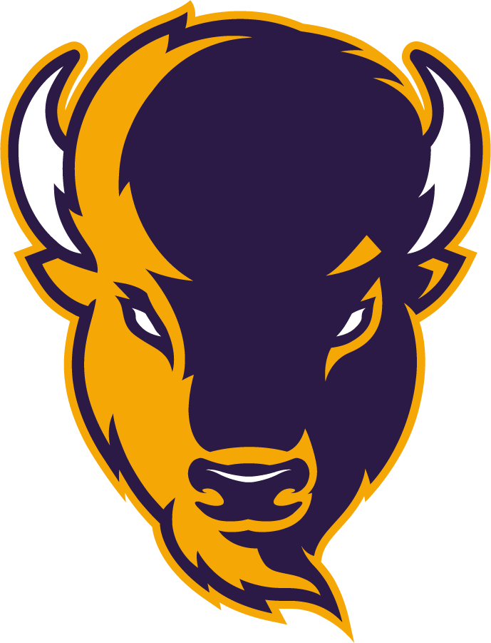 Lipscomb Bisons 2020-Pres Alternate Logo v3 iron on transfers for clothing